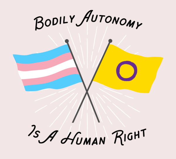 Illustration of intersex and trans flags crossed with the text 'bodily autonomy is a human right'