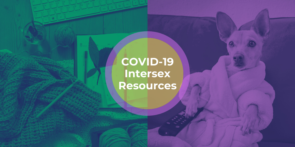 Graphic with text reading 'COVID-19 intersex resources' with a background image of a cute dog staying at home in a bathrobe