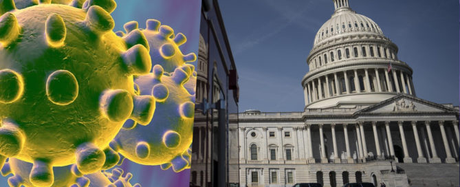 Illustration of the capitol building one one side, and COVID-19 particles in intersex colors on the other