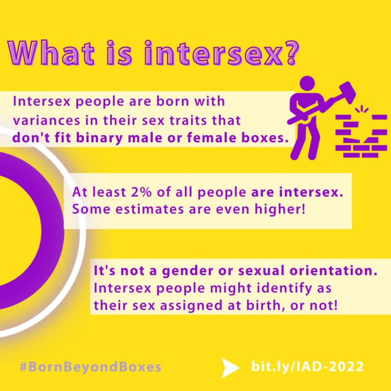 Intersex Awareness Day History And Social Media Resources